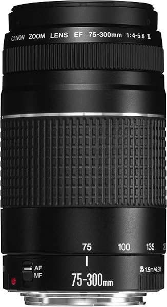Lente Canon EF 75-300 mm